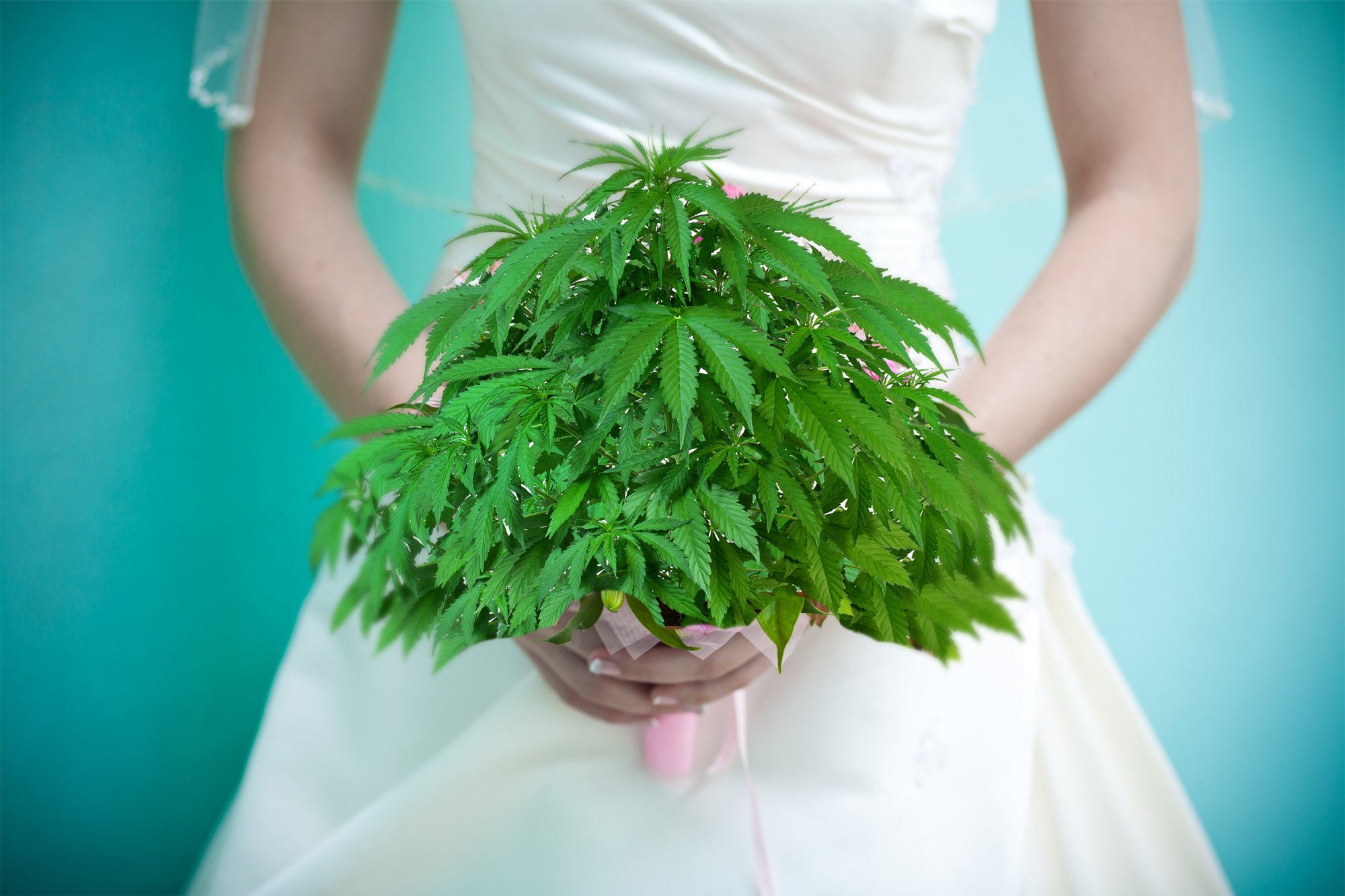 New cannabis wedding trend mercifully makes your nauseating nuptials more bearable