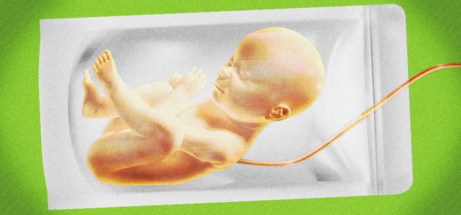 artificial womb human