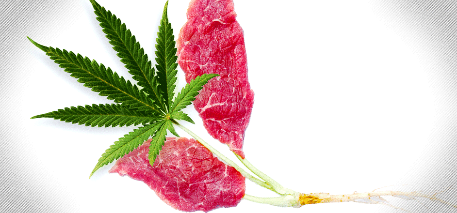 photo - beef and weed