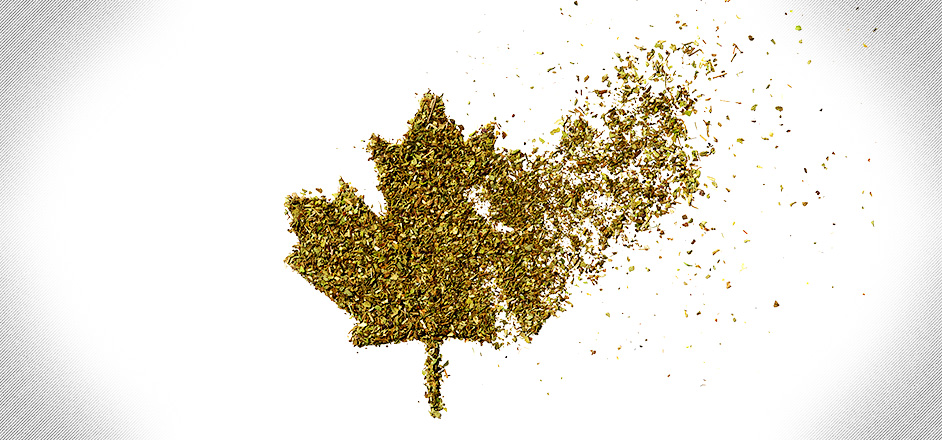 photo illustration - Canadian cannabis