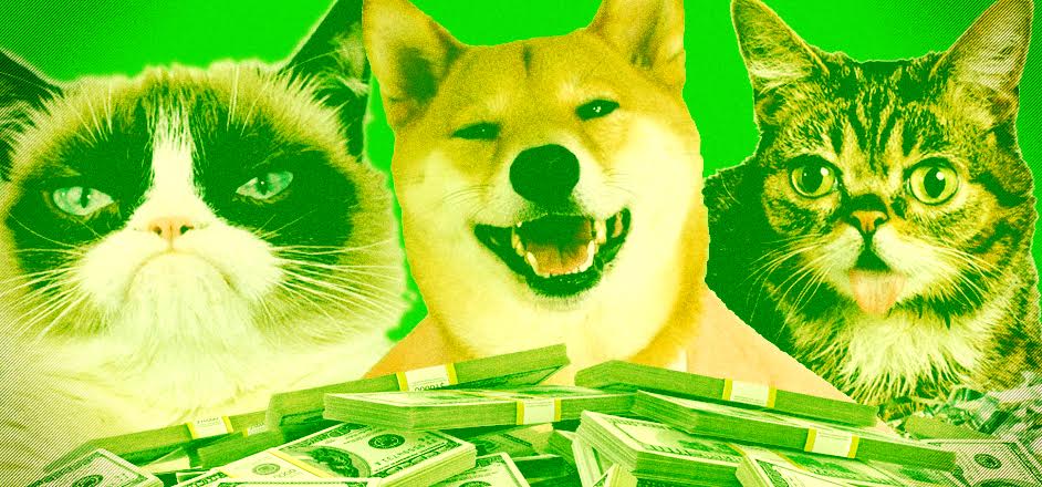 meet the pet owners making millions off their cats and dogs pet modeling social media meme