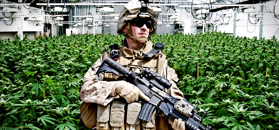 military-vets-are-finding-purpose-and-new-hope-in-cannabis-marijuana-industry