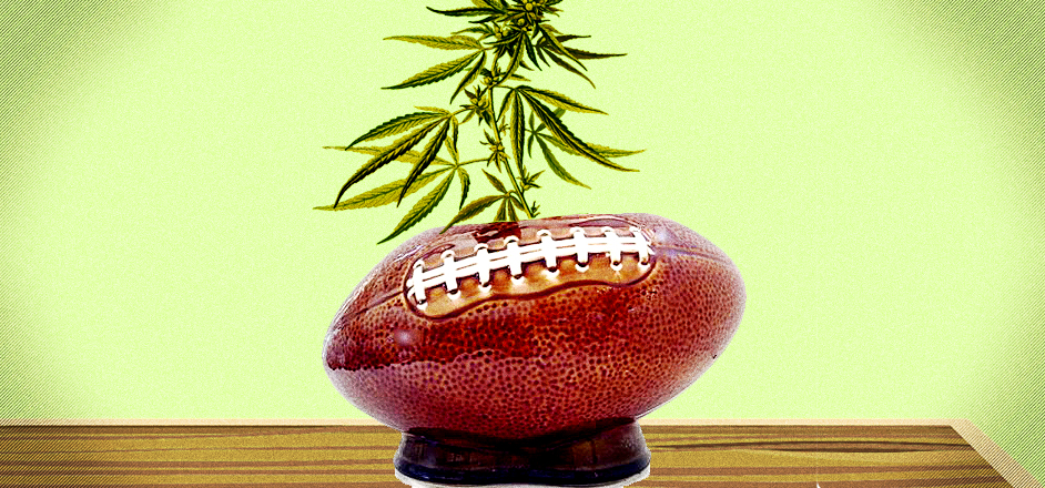 the NFL and weed marijuana pot rooster magazine