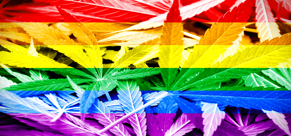 photo - cannabis marijuana gay industry