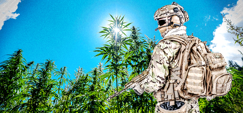 weedsoldier