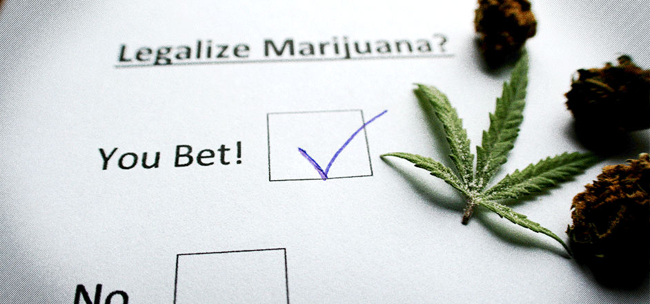 illustration - marijuana vote