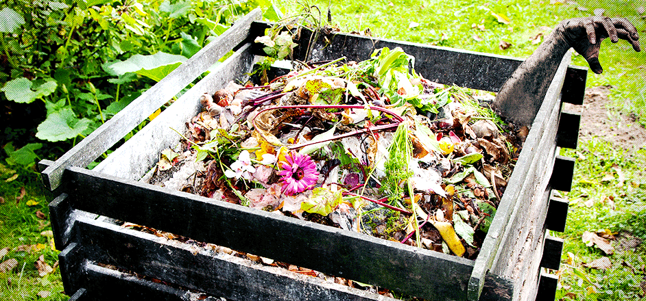 compost_body_after_death_denver_bill_1