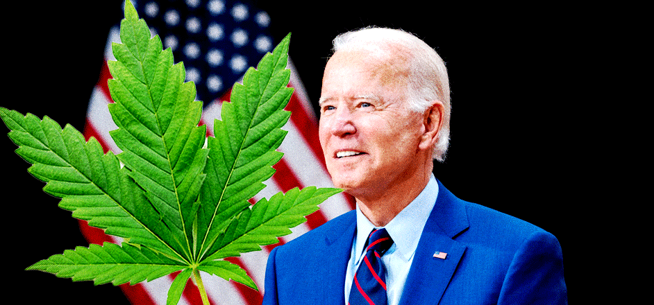 Joe Biden, legalize cannabis, decriminalize, rooster magazine, cannabis, marijuana