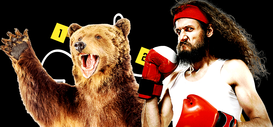 boxing bears, rooster magazine