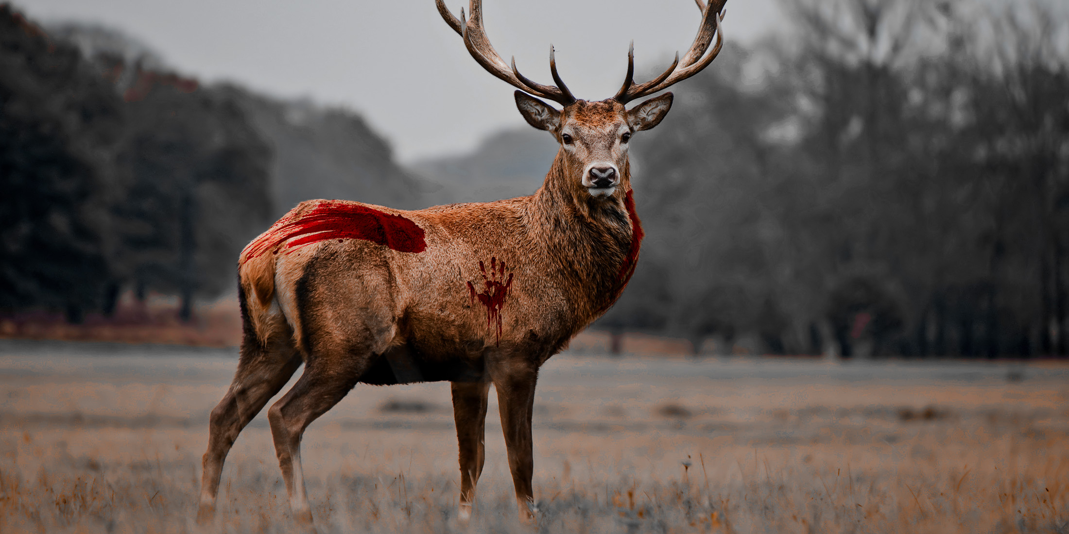 Deer and Elk Attacks Confirmed Across State